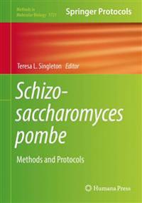 Schizosaccharomyces Pombe: Methods and Protocols