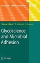 Glycoscience and Microbial Adhesion