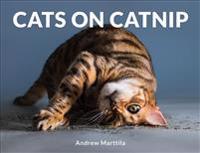 Cats on Catnip
