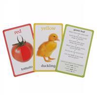 Colors and Shapes: Touch and Feel Picture Cards