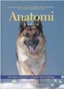 Anatomiboken : hundens anatomi, rörelser och fysiologi : en handbok från Sv
