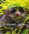 Rainforest Country