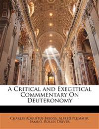 A Critical and Exegetical Commmentary On Deuteronomy