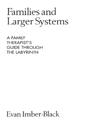 Families and Larger Systems