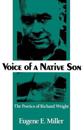 Voice of a Native Son