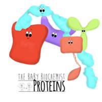 The Baby Biochemist: Proteins
