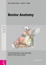 Bovine anatomy - an illustrated text