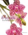 Orchids in a Garden City