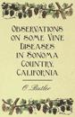 Observations on Some Vine Diseases in Sonoma Country, California.