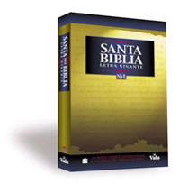 Nvi Santa Biblia Letra Gigante Rustica