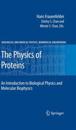 The Physics of Proteins