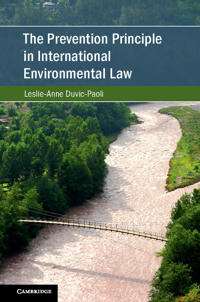 The Prevention Principle in International Environmental Law