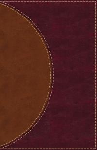 Amplified Reading Bible, Imitation Leather, Brown, Indexed: A Paragraph-Style Amplified Bible for a Smoother Reading Experience