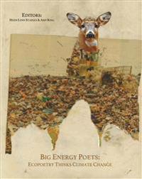 Big Energy Poets: Ecopoetry Thinks Climate Change
