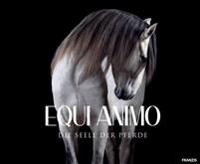 EQUI Animo - Die Seele der Pferde