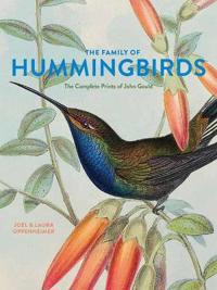 The Family of Hummingbirds
