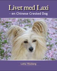 LIvet med Laxi ? en Chinese Crested Dog