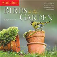 2019 Audubon Birds in the Garden National Audubon Society