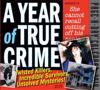 2019 a Year of True Crime Page-A-Day Calendar