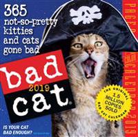 2019 Bad Cat Colour Page-A-Day Calendar