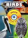 North American Birds in Photographs