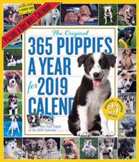 The Original 365 Puppies a Year 2019 Calendar