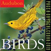 Audubon Birds 2019 Calendar