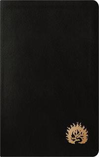 ESV Reformation Study Bible, Condensed Edition - Black, Genuine Leather (Gift)