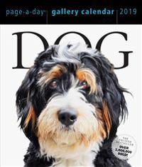 2019 Dog Gallery Page-A-Day Gallery Calendar