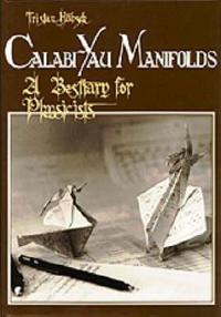 Calabi-yau Manifolds: A Bestiary For Physicists