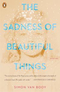The Sadness Of Beautiful Things