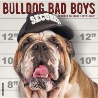 Bulldog Bad Boys 2019 Calendar