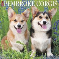 Just Pembroke Corgis 2019 Wall Calendar (Dog Breed Calendar)