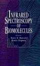 Infrared Spectroscopy of Biomolecules