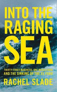 Into the raging sea - thirty-three mariners, one megastorm and the sinking