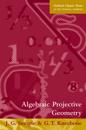 Algebraic Projective Geometry
