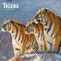 Tigers 2019 Calendar