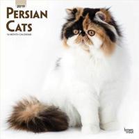 Persian Cats 2019 Calendar