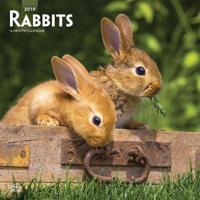 Rabbits 2019 Calendar