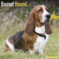 Basset hound calendar 2019