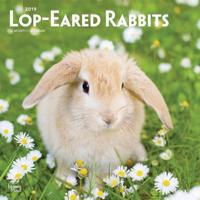 Lop-Eared Rabbits 2019 Calendar