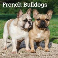 French Bulldogs 2019 Calendar