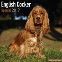 English cocker spaniel calendar 2019