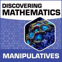 Discovering Mathematics: Algebra Discs