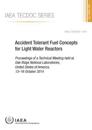 Accident Tolerant Fuel Concepts for Light Water Reactors