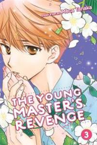The Young Master's Revenge 3