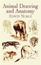 Animal Drawing and Anatomy