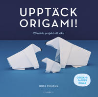 Upptäck origami! - 20 enkla projekt att vika