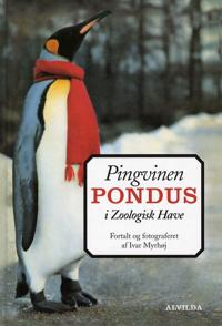 Pingvinen Pondus i Zoologisk Have
