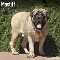 Mastiff calendar 2019